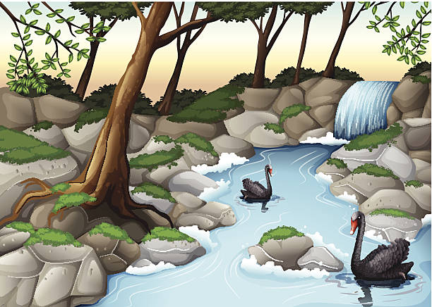 ilustraciones, imágenes clip art, dibujos animados e iconos de stock de bosque con cisnes - grass branch wealth forest