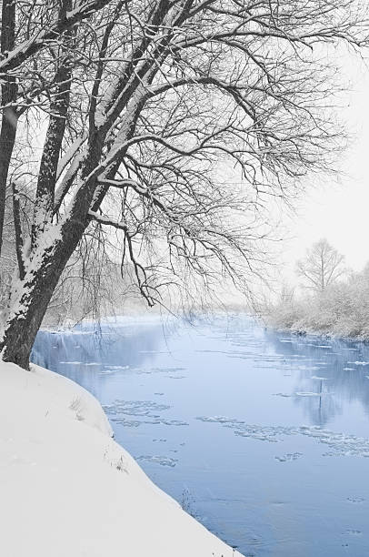 река и елка, покрытые снегом - winter stream river snowing стоковые фото и изображения