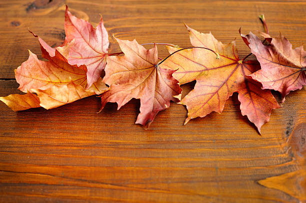 istock Autumn leaves over old wooden background. With copy space 512477788