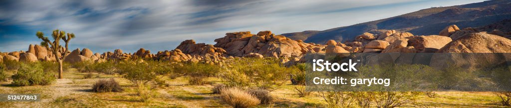 Joshua Tree National Park Boulders and Joshua Trees in Joshua Tree National Park, California. Joshua Tree National Park Stock Photo