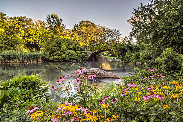 istock Gapstow bridge Central Park, New York City 512478011