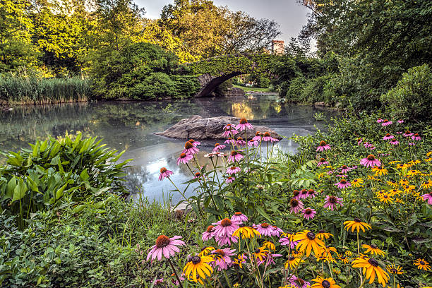 istock Gapstow bridge Central Park, New York City 512478061