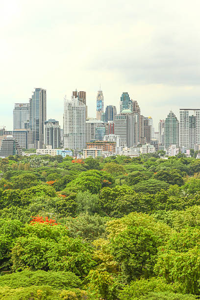 istock Bangkok skyline over Lumpini park 512478265