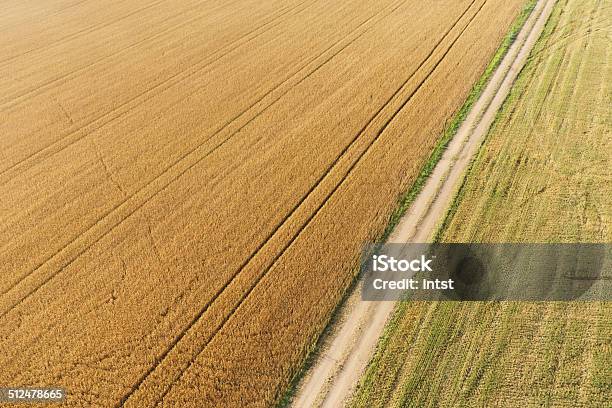 Foto de Areal Vista Do Campo De Milho e mais fotos de stock de Colheita - Colheita, Acima, Agricultura