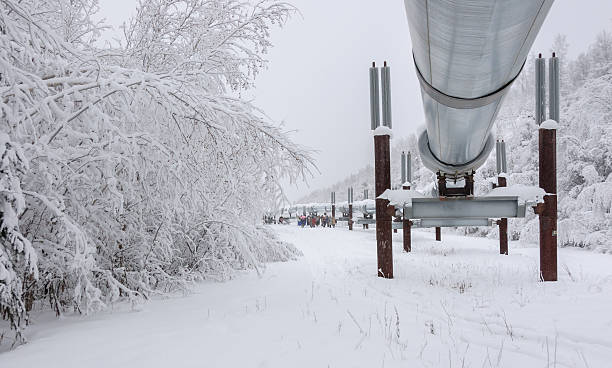 Tourists Visiting Pipeline in Winter stock photo