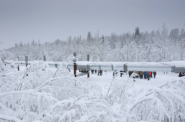 kuvapankkikuvat ja rojaltivapaat kuvat aiheesta trans alaska pipelinen kävijät katselevat putkea talvella - deadhorse alaska