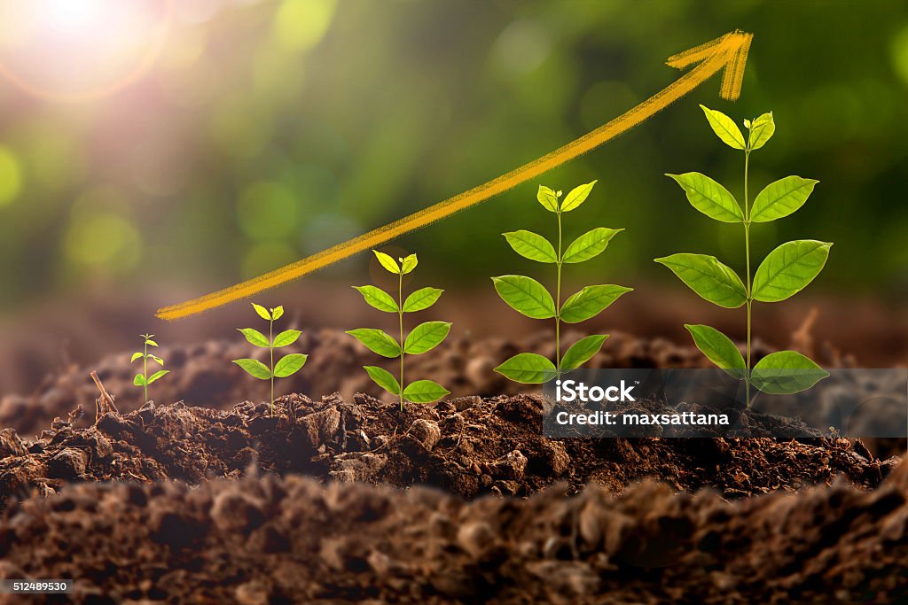 Crecimiento de planta - Foto de stock de Finanzas libre de derechos