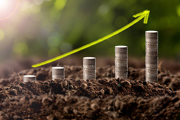 istock Money growing in soil , Business success concept. 512489540