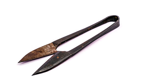 Viking scissors from the Iron age stock photo