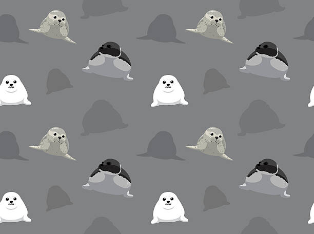 Seal Wallpaper 4 Stock Illustration - Download Image Now - Harbor Seal,  Animal, Antarctica - iStock