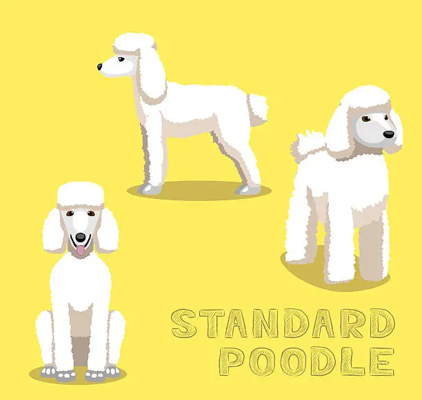 Vector illustration of Dog Standard Poodle Cartoon Vector Illustration