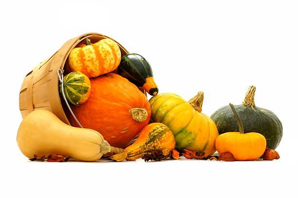 istock Harvest pail with spilling autumn vegetables 512491883