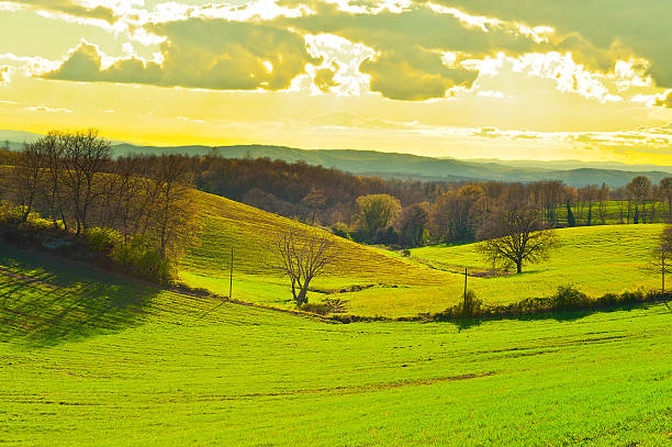 istock Meadows of Tuscany 512492270