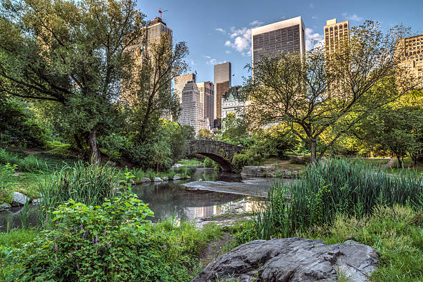 istock Gapstow bridge Central Park, New York City 512492733