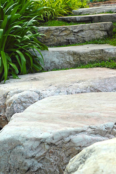 istock Walkway in park with the nature 512492851