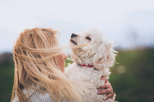 istock I'm taking my dog with me everywhere! 512492860