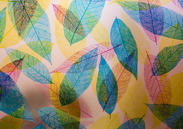istock Transparent of leaves 512493996