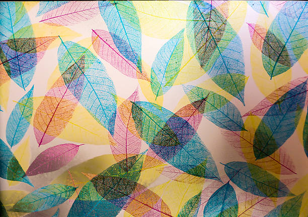 istock Transparent of leaves 512494082