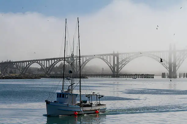 Photo of Fishing boat coming out from the mist