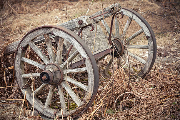 istock Old rural wooden wagon on dry grass 512494877