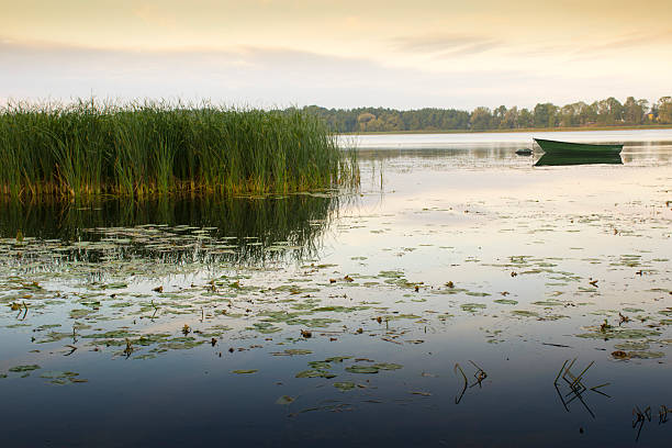istock Tranquil scene, Elk Lake, masuria district 512497391