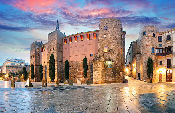 Panorama of Gate, Barri Gothic Quarter, Barcelona, Spain