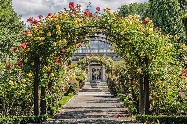 istock Rose garden in the Botanic Gardens 512511178