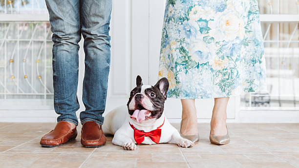 istock lovely family 512511846
