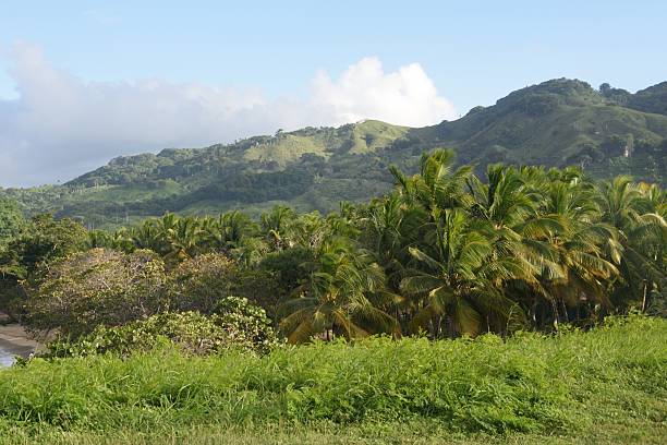istock Landscape Dominican Republic 512512324