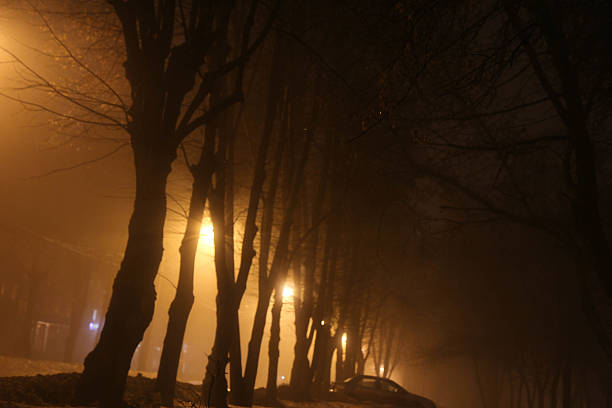 istock Fog in the city, night 512512980