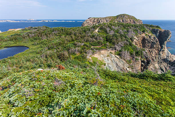 French Head promontory, Twillingate Island