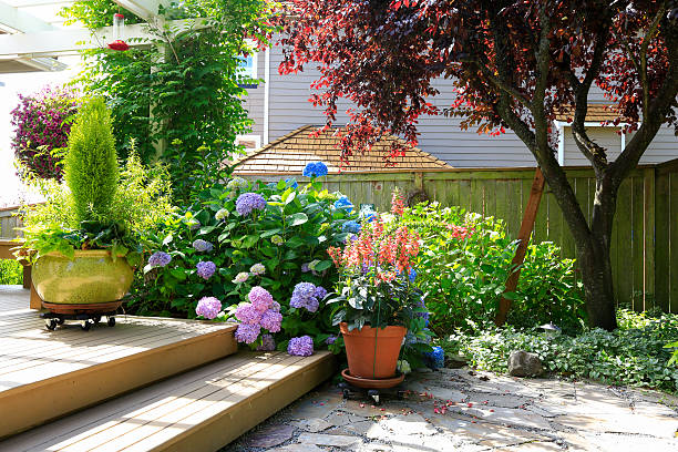House backyard. View of walkout deck with flowers