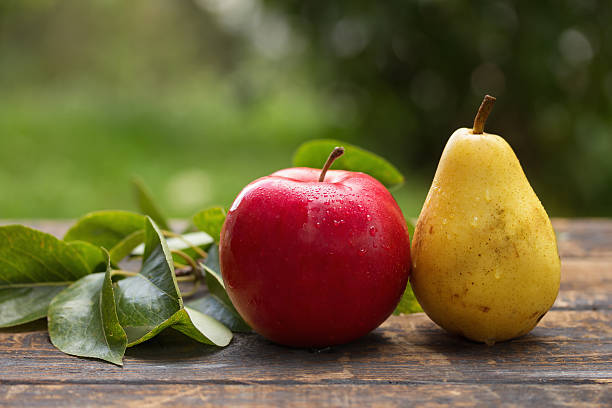 apfel und birne - birne stock-fotos und bilder