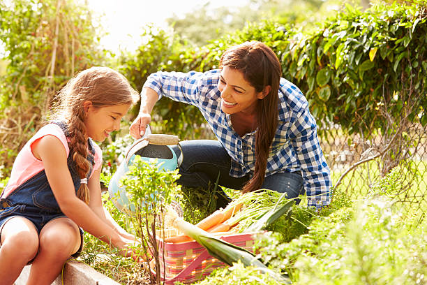 madre e figlia insieme su assegnazione lavoro - gardening child vegetable garden vegetable foto e immagini stock