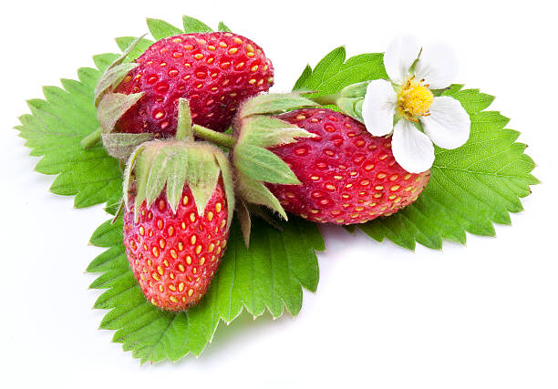 istock Strawberry fruits on leaves. 512520884