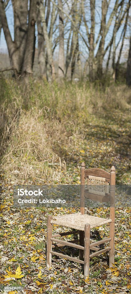 Einem Stuhl im Freien - Lizenzfrei Baum Stock-Foto