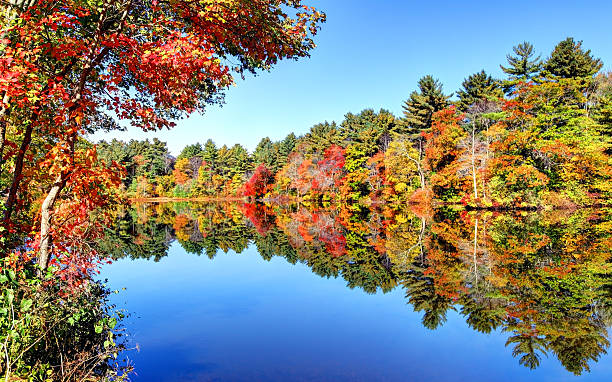 istock Autumn reflection on the North River in Pembroke, Massachusetts 512522253