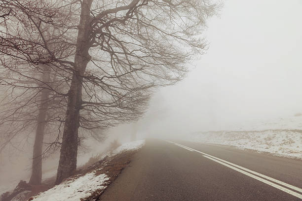 istock Winter landscape of the forest 512522480