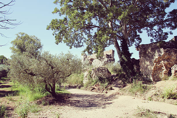 antigo aqueduto romano, gard, frança. - aqueduct languedoc rousillon ancient rome stability imagens e fotografias de stock