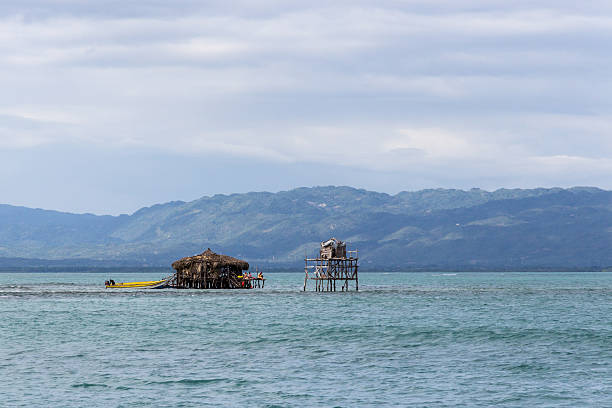Pelican Bar with Jamaican mountains stock photo