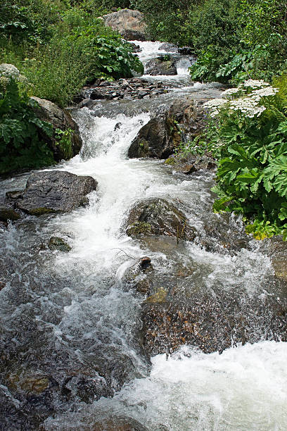 istock Gveleti High Valley, Caucasus Mountains, Georgia 512524683
