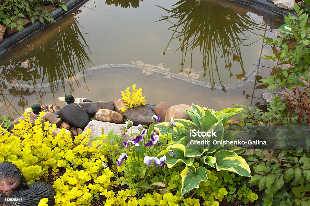 beautiful landscape design in a garden Day Stock Photo