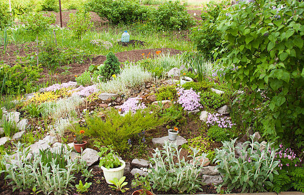 istock beautiful landscape design in a garden 512525564
