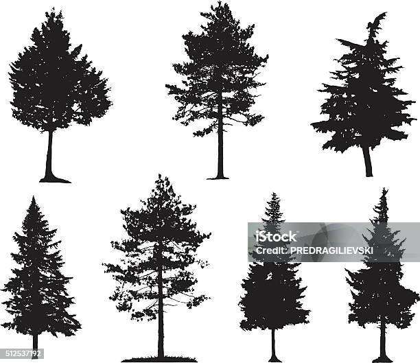 Coniferous Trees Silhouettes Stockvectorkunst en meer beelden van Boom - Boom, Silhouet, Naaldboom