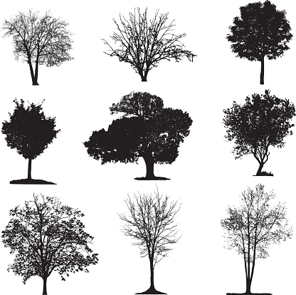 Various isolated tree silhouettes on a white background