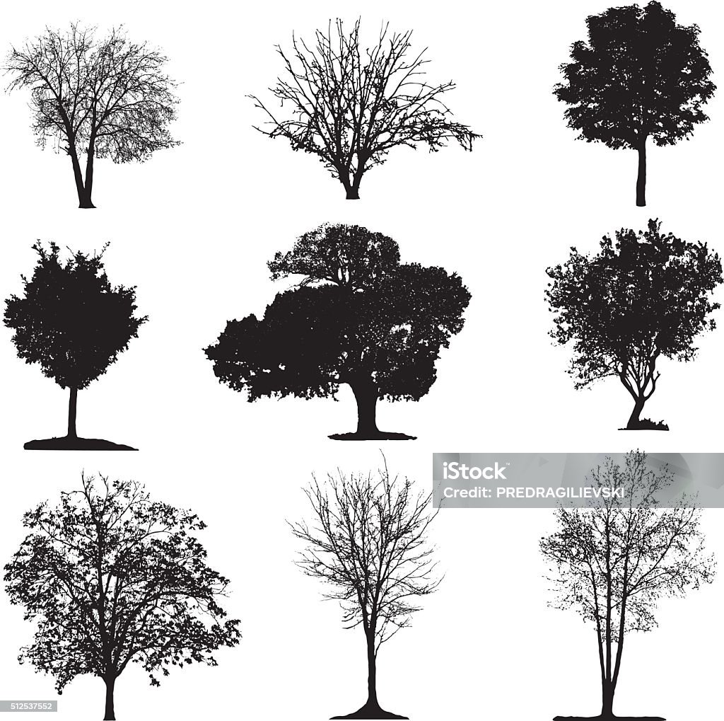 Trees silhouette collection Various isolated tree silhouettes on a white background Tree stock vector