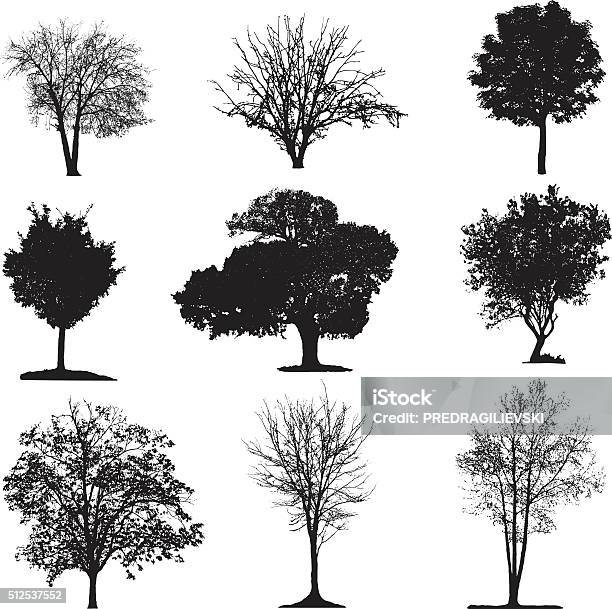 Trees Silhouette Collection Stock Illustration - Download Image Now - Tree, In Silhouette, Birch Tree