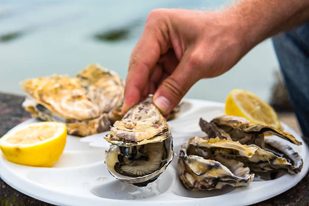 istock Male hand holding oysters 512541092