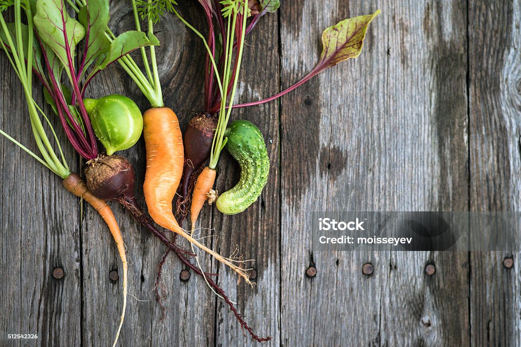 Hässlich Möhren, rote Bete, Gurke - Lizenzfrei Gemüse Stock-Foto