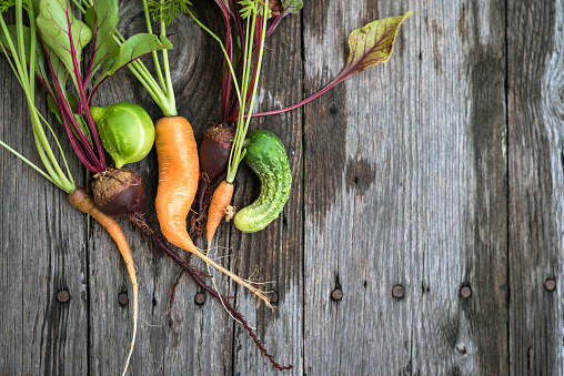 Trendy ugly organic carrot, beetroot and cucumber from home garden